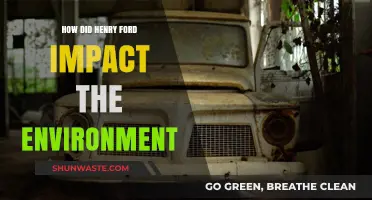 Henry Ford's Environmental Legacy: Revolutionizing Industry, Shaping Ecosystems