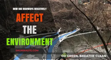 Highways' Environmental Impact: Pollution, Habitat Loss, and Ecosystem Disruption