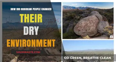 Hohokam Innovations: Transforming Arid Lands into Thriving Communities