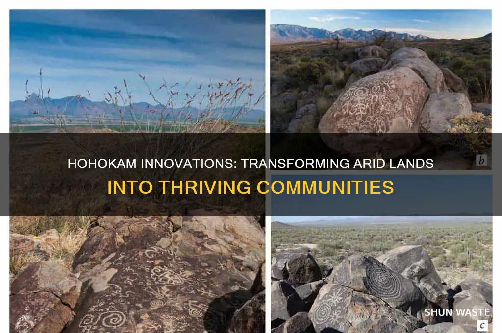 how did hohokam people changed their dry environment