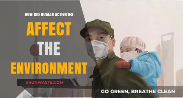 Human Impact: Unraveling Our Actions on the Environment's Health