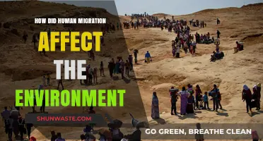 Human Migration's Environmental Impact: Shaping Ecosystems and Climate Patterns