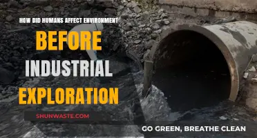 Pre-Industrial Human Impact: Shaping the Environment Before the Industrial Revolution