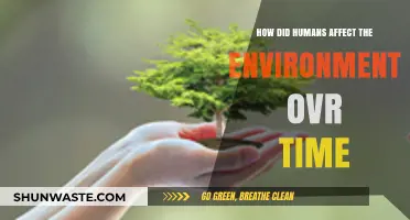 Human Impact: Shaping the Environment Through Centuries of Change