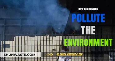 Human Impact: Polluting Our Environment
