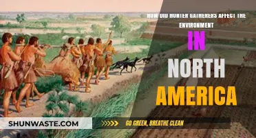 Hunter-Gatherers' Environmental Impact: Shaping North America's Ancient Ecosystems
