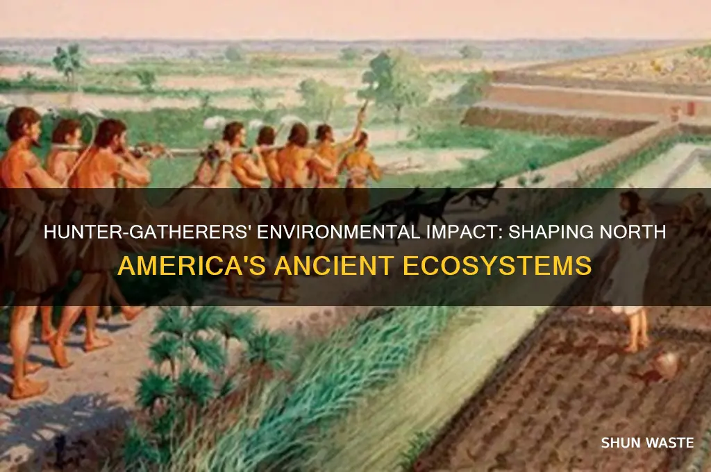 how did hunter gatherers affect the environment in north america