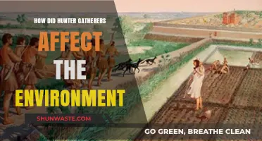 Hunter-Gatherer Impact: Shaping Ecosystems and Early Environmental Footprints
