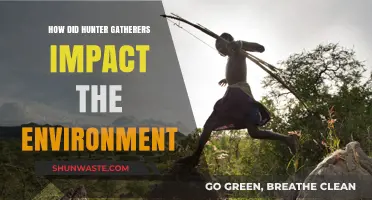 Hunter-Gatherers' Environmental Legacy: Shaping Ecosystems Before Agriculture
