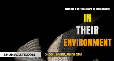Adapting to Change: How Hunters Evolved with Their Environment