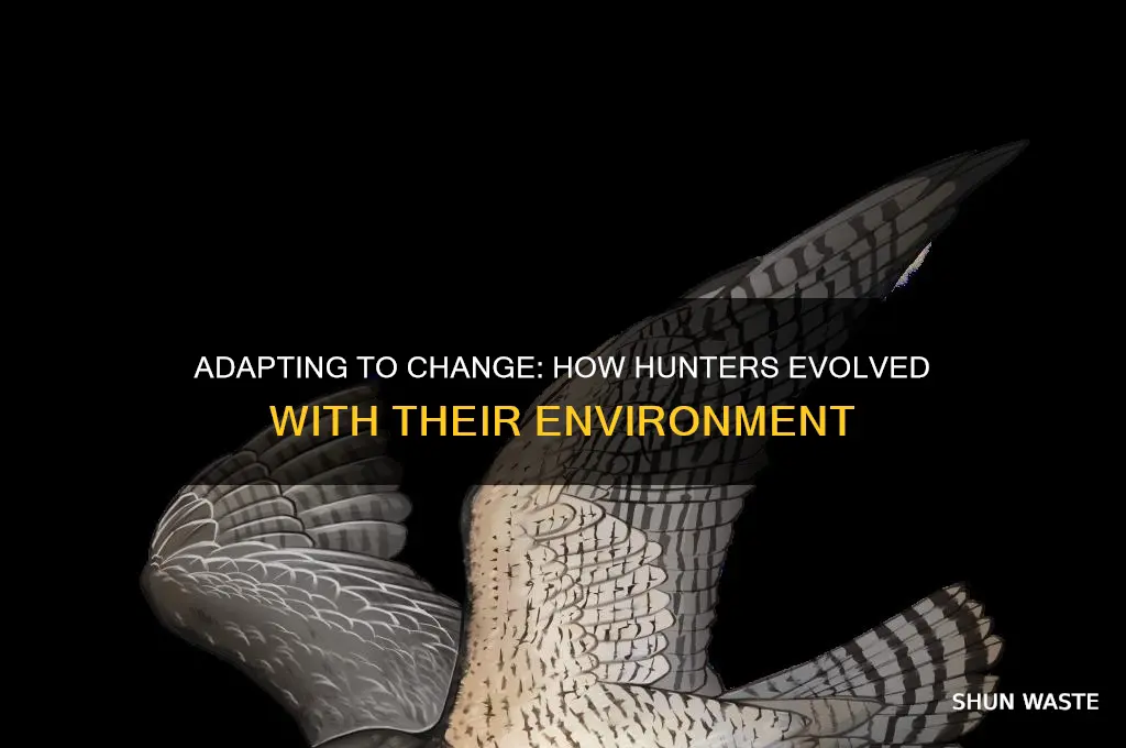 how did hunters adapt to this change in their environment