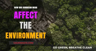 Hurricane Maia's Environmental Impact: Devastation, Recovery, and Long-Term Effects