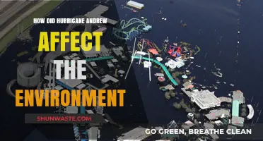 Hurricane Andrew's Environmental Impact: Devastation, Recovery, and Long-Term Effects
