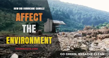 Hurricane Camille's Environmental Impact: Devastation, Recovery, and Lasting Changes