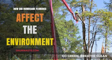 Hurricane Florence's Environmental Impact: Devastation, Recovery, and Long-Term Effects