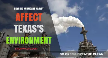 Hurricane Harvey's Environmental Impact: Texas Ecosystems and Recovery Challenges