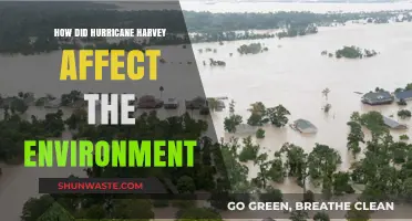 Hurricane Harvey's Environmental Impact: Devastation, Recovery, and Long-Term Effects