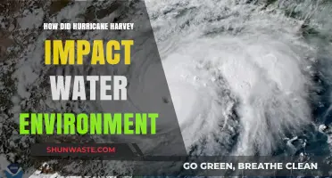 Hurricane Harvey's Devastating Effects on Coastal and Freshwater Ecosystems