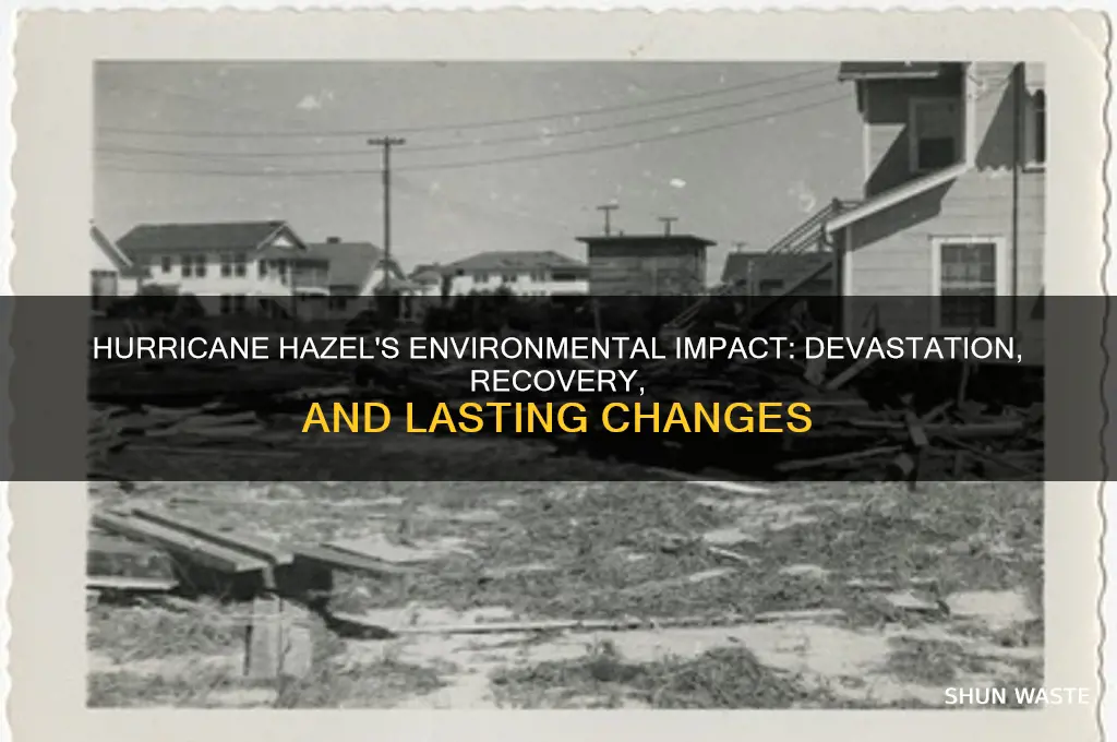 how did hurricane hazel affect the environment