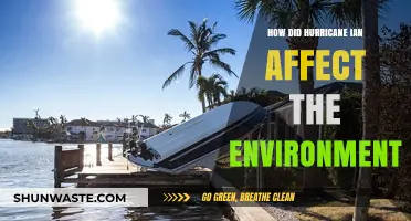 Hurricane Ian's Environmental Impact: Devastation, Recovery, and Ecosystem Changes