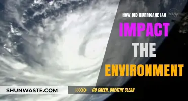 Hurricane Ian's Devastating Environmental Impact: Ecosystems, Wildlife, and Recovery Challenges