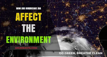 Hurricane Ida's Environmental Impact: Devastation, Recovery, and Long-Term Consequences