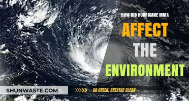 Hurricane Irma's Environmental Impact: Devastation, Recovery, and Ecosystem Changes
