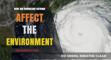 Hurricane Katrina's Environmental Impact: Devastation, Recovery, and Long-Term Effects