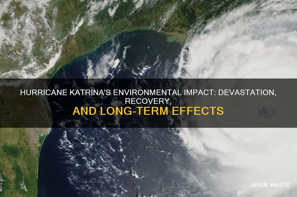 how did hurricane katrina affect the environment