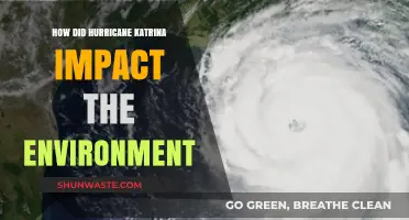 Hurricane Katrina's Environmental Aftermath: Devastation, Recovery, and Long-Term Effects