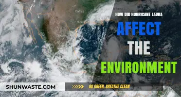 Hurricane Laura's Environmental Impact: Devastation, Recovery, and Ecosystem Changes
