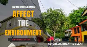 Hurricane Maria's Devastating Environmental Impact: A Comprehensive Analysis