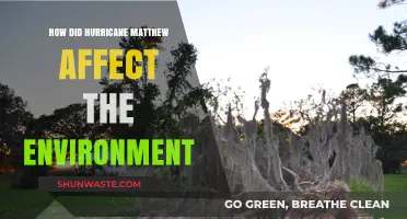 Hurricane Matthew's Environmental Impact: Devastation, Recovery, and Long-Term Effects