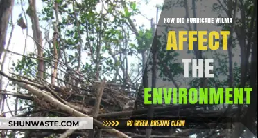 Hurricane Wilma's Environmental Impact: Devastation, Recovery, and Long-Term Effects