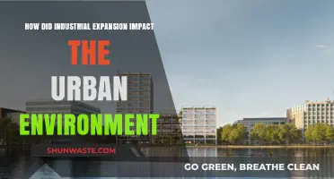 Industrial Expansion's Transformative Effects on Urban Landscapes and Ecosystems