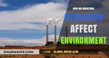 Industrial Revolution's Environmental Impact: Pollution, Deforestation, and Climate Change