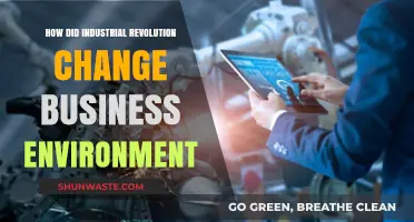 Industrial Revolution's Impact: Transforming Business Landscapes and Practices