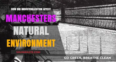 Industrialization's Impact: Manchester's Natural Environment Transformed Forever
