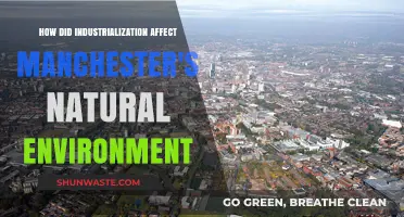 Industrialization's Impact: Manchester's Natural Environment Transformed Forever