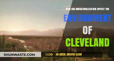 Cleveland's Environmental Transformation: Industrialization's Impact on the City's Ecology