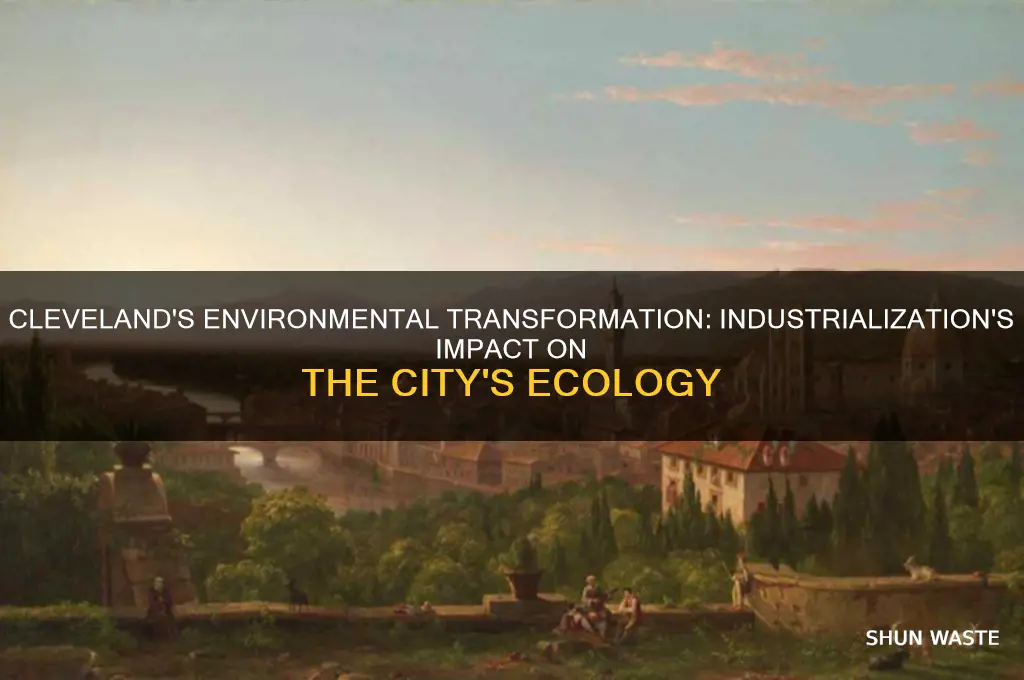 how did industrialization affect the environment of cleveland