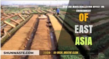 Industrialization's Environmental Impact on East Asia: Challenges and Consequences