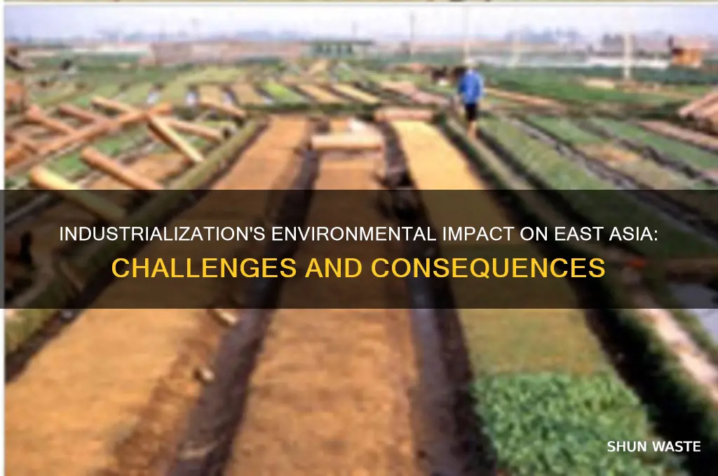 how did industrialization affect the environment of east asia