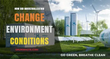 Industrialization's Impact: Transforming Environments and Shaping Our Ecological Future