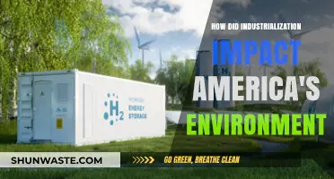 Industrialization's Environmental Toll: Transforming America's Landscapes and Ecosystems