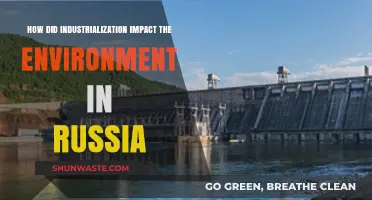 Russia's Industrialization: Environmental Consequences and Ecological Transformation