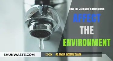 Jackson Water Crisis: Environmental Impact and Long-Term Ecological Consequences