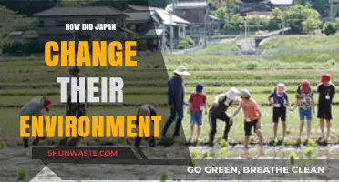 Japan's Environmental Transformation: Innovations and Sustainable Practices Shaping the Nation