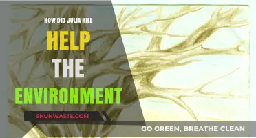 Julia Hill's Tree-Sitting Protest: A Powerful Act for Environmental Conservation
