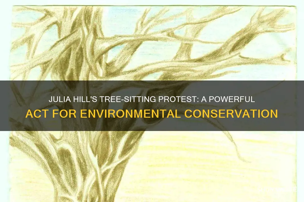 how did julia hill help the environment